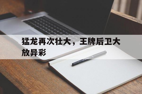 大放异彩之类夸赞的词