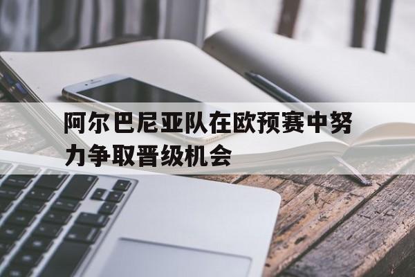 开云官方网站-阿尔巴尼亚国家队